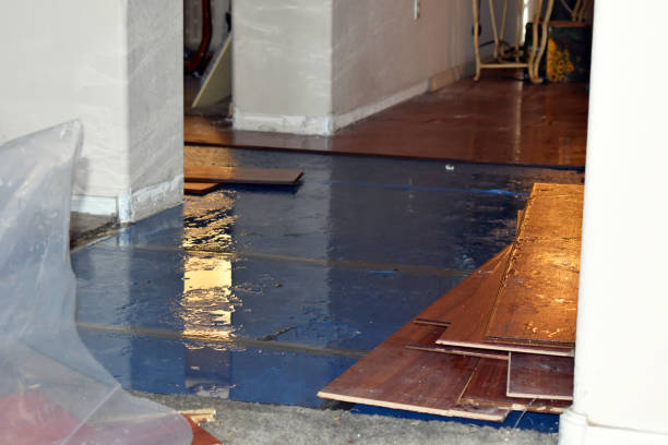Professional Basement Flood Cleanup technician working in Rushsylvania, OH